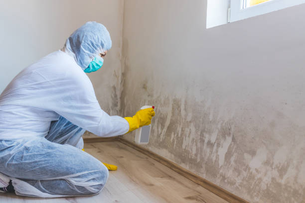 Hvac And Air Duct Mold Remediation inspection of HVAC system in Fayetteville